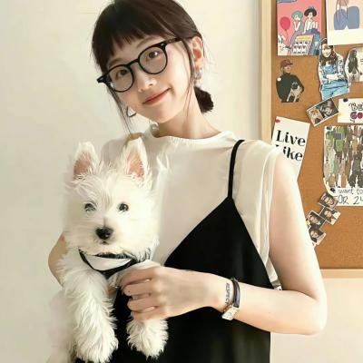 牛蝇
